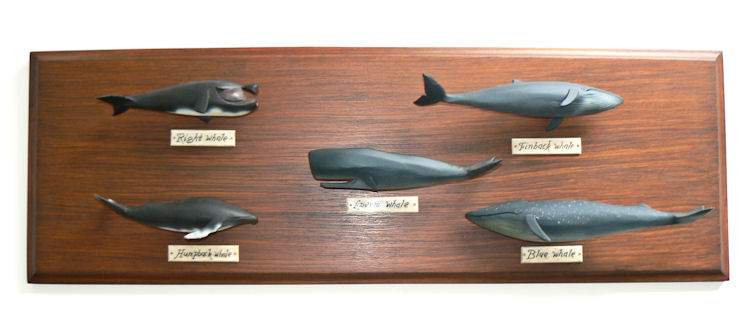 Five Vintage Whale Carving Sculpture Display | Land and Sea Collection